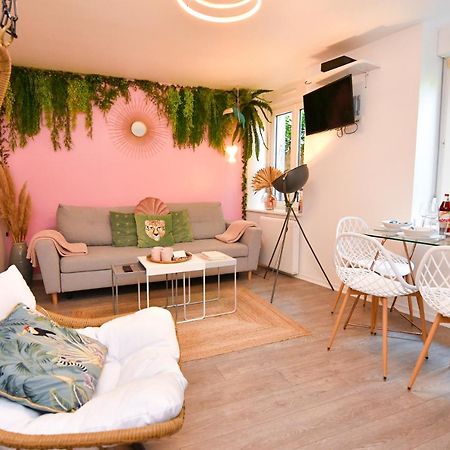 Le Nid Cosy - En Plein Coeur De Selestat Apartment ภายนอก รูปภาพ