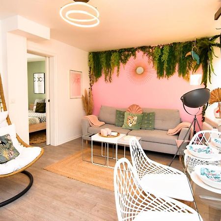 Le Nid Cosy - En Plein Coeur De Selestat Apartment ภายนอก รูปภาพ