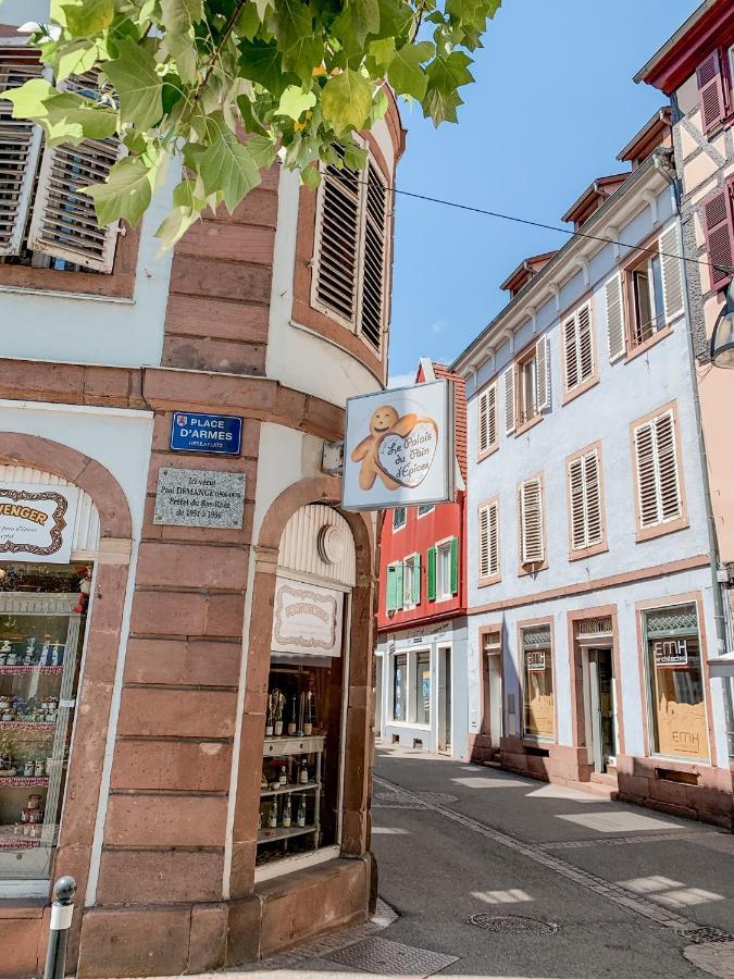 Le Nid Cosy - En Plein Coeur De Selestat Apartment ภายนอก รูปภาพ