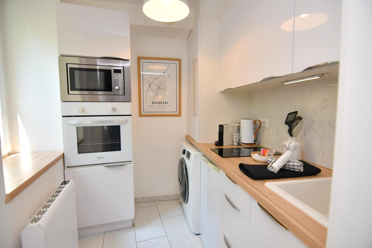 Le Nid Cosy - En Plein Coeur De Selestat Apartment ภายนอก รูปภาพ